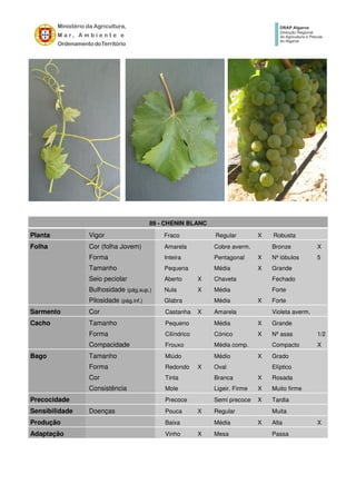 89 - CHENIN BLANC
Planta Vigor Fraco Regular X Robusta
Folha Cor (folha Jovem) Amarela Cobre averm. Bronze X
Forma Inteira Pentagonal X Nº lóbulos 5
Tamanho Pequena Média X Grande
Seio peciolar Aberto X Chaveta Fechado
Bulhosidade (pág.sup.) Nula X Média Forte
Pilosidade (pág.inf.) Glabra Média X Forte
Sarmento Cor Castanha X Amarela Violeta averm.
Cacho Tamanho Pequeno Média X Grande
Forma Cilíndrico Cónico X Nº asas 1/2
Compacidade Frouxo Média comp. Compacto X
Bago Tamanho Miúdo Médio X Grado
Forma Redondo X Oval Elíptico
Cor Tinta Branca X Rosada
Consistência Mole Ligeir. Firme X Muito firme
Precocidade Precoce Semi precoce X Tardia
Sensibilidade Doenças Pouca X Regular Muita
Produção Baixa Média X Alta X
Adaptação Vinho X Mesa Passa
 