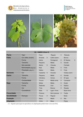 100 - SABRO (Clone 3)
Planta Vigor Fraco Regular X Robusta
Folha Cor (folha Jovem) Amarela X Cobre averm. Bronze
Forma Inteira Pentagonal X Nº lóbulos 5
Tamanho Pequena Média X Grande
Seio peciolar Aberto X Chaveta Fechado
Bulhosidade (pág.sup.) Nula Média X Forte
Pilosidade (pág.inf.) Glabra Média X Forte
Sarmento Cor Castanha X Amarela Violeta averm.
Cacho Tamanho Pequeno Médio X Grande
Forma Cilíndrico Cónico X Nº asas 1/2
Compacidade Frouxo Média comp. X Compacto
Bago Tamanho Miúdo Médio X Grado
Forma Redondo Oval X Elíptico
Cor Tinta Branca X Rosada
Consistência Mole X Ligeir. Firme Muito firme
Precocidade Precoce Semi precoce X Tardia
Sensibilidade Doenças Pouca X Regular Muita
Produção Baixa Média X Alta
Adaptação Vinho X Mesa Passa
(1) – Segundo apreciação de especialistas em ampelografia poderá tratar-se da casta Síria.
 