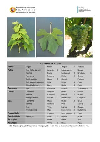 101 - GENEROSA (01 – 05)
Planta Vigor Fraco Regular X Robusta
Folha Cor (folha Jovem) Amarela X Cobre averm. Bronze
Forma Inteira Pentagonal X Nº lóbulos 5
Tamanho Pequena Média X Grande
Seio peciolar Aberto X Chaveta Fechado
Bulhosidade (pág.sup.) Nula Média X Forte
Pilosidade (pág.inf.) Glabra Média X Forte
Sarmento Cor Castanha Amarela Violeta averm. X
Cacho Tamanho Pequeno Médio X Grande
Forma Cilíndrico Cónico X Nº asas 2
Compacidade Frouxo X Média comp. Compacto
Bago Tamanho Miúdo Médio X Grado
Forma Redondo Oval Elíptico X
Cor Tinta Branca X Rosada
Consistência Mole Ligeir. Firme X Muito firme
Precocidade Precoce Semi precoce X Tardia
Sensibilidade Doenças Pouca X Regular Muita
Produção Baixa Média Alta X
Adaptação Vinho X Mesa Passa
(1) – Segundo apreciação de especialistas em ampelografia poderá tratar-se da casta Boal Vencedor ou Malvasia Fina.
 