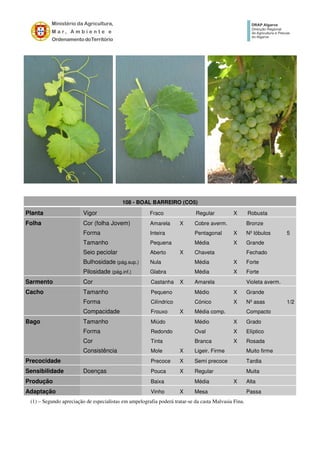 108 - BOAL BARREIRO (CO5)
Planta Vigor Fraco Regular X Robusta
Folha Cor (folha Jovem) Amarela X Cobre averm. Bronze
Forma Inteira Pentagonal X Nº lóbulos 5
Tamanho Pequena Média X Grande
Seio peciolar Aberto X Chaveta Fechado
Bulhosidade (pág.sup.) Nula Média X Forte
Pilosidade (pág.inf.) Glabra Média X Forte
Sarmento Cor Castanha X Amarela Violeta averm.
Cacho Tamanho Pequeno Médio X Grande
Forma Cilíndrico Cónico X Nº asas 1/2
Compacidade Frouxo X Média comp. Compacto
Bago Tamanho Miúdo Médio X Grado
Forma Redondo Oval X Elíptico
Cor Tinta Branca X Rosada
Consistência Mole X Ligeir. Firme Muito firme
Precocidade Precoce X Semi precoce Tardia
Sensibilidade Doenças Pouca X Regular Muita
Produção Baixa Média X Alta
Adaptação Vinho X Mesa Passa
(1) – Segundo apreciação de especialistas em ampelografia poderá tratar-se da casta Malvasia Fina.
 