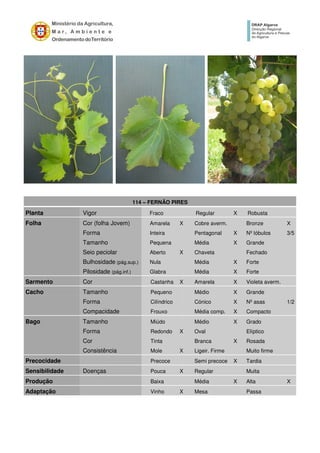 114 – FERNÃO PIRES
Planta Vigor Fraco Regular X Robusta
Folha Cor (folha Jovem) Amarela X Cobre averm. Bronze X
Forma Inteira Pentagonal X Nº lóbulos 3/5
Tamanho Pequena Média X Grande
Seio peciolar Aberto X Chaveta Fechado
Bulhosidade (pág.sup.) Nula Média X Forte
Pilosidade (pág.inf.) Glabra Média X Forte
Sarmento Cor Castanha X Amarela X Violeta averm.
Cacho Tamanho Pequeno Médio X Grande
Forma Cilíndrico Cónico X Nº asas 1/2
Compacidade Frouxo Média comp. X Compacto
Bago Tamanho Miúdo Médio X Grado
Forma Redondo X Oval Elíptico
Cor Tinta Branca X Rosada
Consistência Mole X Ligeir. Firme Muito firme
Precocidade Precoce Semi precoce X Tardia
Sensibilidade Doenças Pouca X Regular Muita
Produção Baixa Média X Alta X
Adaptação Vinho X Mesa Passa
 
