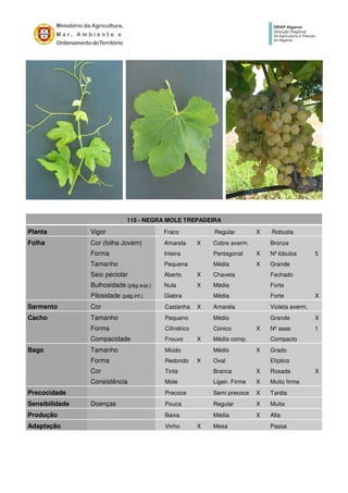 115 - NEGRA MOLE TREPADEIRA
Planta Vigor Fraco Regular X Robusta
Folha Cor (folha Jovem) Amarela X Cobre averm. Bronze
Forma Inteira Pentagonal X Nº lóbulos 5
Tamanho Pequena Média X Grande
Seio peciolar Aberto X Chaveta Fechado
Bulhosidade (pág.sup.) Nula X Média Forte
Pilosidade (pág.inf.) Glabra Média Forte X
Sarmento Cor Castanha X Amarela Violeta averm.
Cacho Tamanho Pequeno Médio Grande X
Forma Cilíndrico Cónico X Nº asas 1
Compacidade Frouxo X Média comp. Compacto
Bago Tamanho Miúdo Médio X Grado
Forma Redondo X Oval Elíptico
Cor Tinta Branca X Rosada X
Consistência Mole Ligeir. Firme X Muito firme
Precocidade Precoce Semi precoce X Tardia
Sensibilidade Doenças Pouca Regular X Muita
Produção Baixa Média X Alta
Adaptação Vinho X Mesa Passa
 