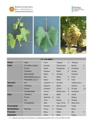 119 - PALOMINO
Planta Vigor Fraco Regular X Robusta
Folha Cor (folha Jovem) Amarela Cobre averm. Bronze X
Forma Inteira Pentagonal X Nº lóbulos 5
Tamanho Pequena Média X Grande
Seio peciolar Aberto X Chaveta Fechado
Bulhosidade (pág.sup.) Nula Média X Forte
Pilosidade (pág.inf.) Glabra Média X Forte
Sarmento Cor Castanha X Amarela Violeta averm.
Cacho Tamanho Pequeno Médio Grande X
Forma Cilíndrico Cónico X Nº asas 1/2
Compacidade Frouxo Média comp. X Compacto
Bago Tamanho Miúdo Médio X Grado
Forma Redondo X Oval Elíptico
Cor Tinta Branca X Rosada
Consistência Mole Ligeir. Firme X Muito firme
Precocidade Precoce X Semi precoce Tardia
Sensibilidade Doenças Pouca X Regular Muita
Produção Baixa Média Alta X
Adaptação Vinho X Mesa Passa
(1) – Segundo apreciação de especialistas em ampelografia poderá tratar-se da casta Malvasia Rei.
 