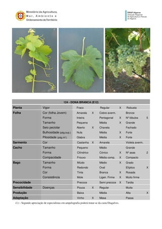 124 - DONA BRANCA (E12)
Planta Vigor Fraco Regular X Robusta
Folha Cor (folha Jovem) Amarela X Cobre averm. Bronze
Forma Inteira Pentagonal X Nº lóbulos 5
Tamanho Pequena Média X Grande
Seio peciolar Aberto X Chaveta Fechado
Bulhosidade (pág.sup.) Nula Média X Forte
Pilosidade (pág.inf.) Glabra Média X Forte
Sarmento Cor Castanha X Amarela Violeta averm.
Cacho Tamanho Pequeno Médio Grande
Forma Cilíndrico Cónico X Nº asas 2
Compacidade Frouxo Média comp. X Compacto
Bago Tamanho Miúdo Médio X Grado
Forma Redondo Oval Elíptico X
Cor Tinta Branca X Rosada
Consistência Mole Ligeir. Firme X Muito firme
Precocidade Precoce Semi precoce X Tardia
Sensibilidade Doenças Pouca X Regular Muita
Produção Baixa Média Alta X
Adaptação Vinho X Mesa Passa
(1) – Segundo apreciação de especialistas em ampelografia poderá tratar-se da casta Diagalves.
 