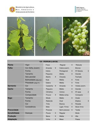 126 - PERRUM (L40V38)
Planta Vigor Fraco Regular X Robusta
Folha Cor (folha Jovem) Amarela X Cobre averm. Bronze
Forma Inteira Pentagonal X Nº lóbulos 3
Tamanho Pequena Média X Grande
Seio peciolar Aberto X Chaveta Fechado
Bulhosidade (pág.sup.) Nula Média X Forte
Pilosidade (pág.inf.) Glabra Média X Forte
Sarmento Cor Castanha X Amarela X Violeta averm.
Cacho Tamanho Pequeno Médio X Grande
Forma Cilíndrico Cónico X Nº asas 2
Compacidade Frouxo X Média comp. Compacto
Bago Tamanho Miúdo Médio X Grado
Forma Redondo Oval Elíptico X
Cor Tinta Branca X Rosada
Consistência Mole Ligeir. Firme X Muito firme
Precocidade Precoce Semi precoce X Tardia
Sensibilidade Doenças Pouca X Regular Muita
Produção Baixa X Média X Alta
Adaptação Vinho X Mesa Passa
 
