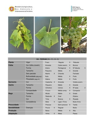 128 - PERRUM (13 – 11 – 3 – 1)
Planta Vigor Fraco Regular X Robusta
Folha Cor (folha Jovem) Amarela Cobre averm. X Bronze
Forma Inteira Pentagonal X Nº lóbulos 5
Tamanho Pequena Média X Grande
Seio peciolar Aberto X Chaveta Fechado
Bulhosidade (pág.sup.) Nula Média X Forte
Pilosidade (pág.inf.) Glabra Média X Forte
Sarmento Cor Castanha X Amarela Violeta averm.
Cacho Tamanho Pequeno Médio X Grande
Forma Cilíndrico Cónico X Nº asas 2
Compacidade Frouxo Média comp. X Compacto
Bago Tamanho Miúdo Médio X Grado
Forma Redondo X Oval Elíptico
Cor Tinta Branca X Rosada
Consistência Mole X Ligeir. Firme Muito firme
Precocidade Precoce Semi precoce X Tardia
Sensibilidade Doenças Pouca X Regular Muita
Produção Baixa Média X Alta
Adaptação Vinho X Mesa Passa
 