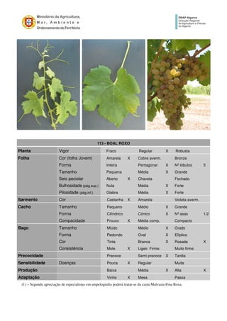 113 - BOAL ROXO
Planta Vigor Fraco Regular X Robusta
Folha Cor (folha Jovem) Amarela X Cobre averm. Bronze
Forma Inteira Pentagonal X Nº lóbulos 5
Tamanho Pequena Média X Grande
Seio peciolar Aberto X Chaveta Fechado
Bulhosidade (pág.sup.) Nula Média X Forte
Pilosidade (pág.inf.) Glabra Média X Forte
Sarmento Cor Castanha X Amarela Violeta averm.
Cacho Tamanho Pequeno Médio X Grande
Forma Cilíndrico Cónico X Nº asas 1/2
Compacidade Frouxo X Média comp. Compacto
Bago Tamanho Miúdo Médio X Grado
Forma Redondo Oval X Elíptico
Cor Tinta Branca X Rosada X
Consistência Mole X Ligeir. Firme Muito firme
Precocidade Precoce Semi precoce X Tardia
Sensibilidade Doenças Pouca X Regular Muita
Produção Baixa Média X Alta X
Adaptação Vinho X Mesa Passa
(1) – Segundo apreciação de especialistas em ampelografia poderá tratar-se da casta Malvasia Fina Roxa.
 