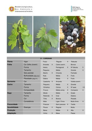 21 - CARIGNAN
Planta Vigor Fraco Regular X Robusta
Folha Cor (folha Jovem) Amarela X Cobre averm. Bronze
Forma Inteira Pentagonal X Nº lóbulos 5
Tamanho Pequena Média Grande X
Seio peciolar Aberto X Chaveta Fechado
Bulhosidade (pág.sup.) Nula Média X Forte
Pilosidade (pág.inf.) Glabra Média X Forte
Sarmento Cor Castanha X Amarela Violeta averm.
Cacho Tamanho Pequeno Média X Grande
Forma Cilíndrico Cónico X Nº asas 1/2
Compacidade Frouxo Média comp. X Compacto X
Bago Tamanho Miúdo Médio X Grado
Forma Redondo X Oval Elíptico
Cor Tinta X Branca Rosada
Consistência Mole Ligeir. Firme Muito firme X
Precocidade Precoce Semi precoce X Tardia
Sensibilidade Doenças Pouca X Regular Muita
Produção Baixa Média X Alta X
Adaptação Vinho X Mesa Passa
 