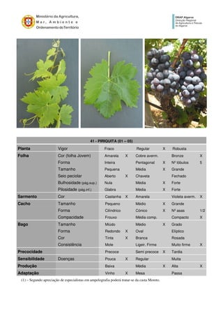 41 - PIRIQUITA (01 – 05)
Planta Vigor Fraco Regular X Robusta
Folha Cor (folha Jovem) Amarela X Cobre averm. Bronze X
Forma Inteira Pentagonal X Nº lóbulos 5
Tamanho Pequena Média X Grande
Seio peciolar Aberto X Chaveta Fechado
Bulhosidade (pág.sup.) Nula Média X Forte
Pilosidade (pág.inf.) Glabra Média X Forte
Sarmento Cor Castanha X Amarela Violeta averm. X
Cacho Tamanho Pequeno Médio X Grande
Forma Cilíndrico Cónico X Nº asas 1/2
Compacidade Frouxo Média comp. Compacto X
Bago Tamanho Miúdo Médio X Grado
Forma Redondo X Oval Elíptico
Cor Tinta X Branca Rosada
Consistência Mole Ligeir. Firme Muito firme X
Precocidade Precoce Semi precoce X Tardia
Sensibilidade Doenças Pouca X Regular Muita
Produção Baixa Média X Alta X
Adaptação Vinho X Mesa Passa
(1) – Segundo apreciação de especialistas em ampelografia poderá tratar-se da casta Moreto.
 