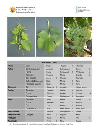 9 - GARRIDO (CO2)
Planta Vigor Fraco Regular X Robusta
Folha Cor (folha Jovem) Amarela Cobre averm. Bronze X
Forma Inteira Pentagonal X Nº lóbulos 5
Tamanho Pequena Média Grande X
Seio peciolar Aberto X Chaveta Fechado
Bulhosidade (pág.sup.) Nula Média X Forte
Pilosidade (pág.inf.) Glabra Média X Forte
Sarmento Cor Castanha X Amarela Violeta averm.
Cacho Tamanho Pequeno Média X Grande
Forma Cilíndrico Cónico X Nº asas 1/2
Compacidade Frouxo Média comp. X Compacto
Bago Tamanho Miúdo Médio Grado X
Forma Redondo Oval X Elíptico
Cor Tinta Branca X Rosada
Consistência Mole Ligeir. Firme X Muito firme
Precocidade Precoce Semi precoce X Tardia
Sensibilidade Doenças Pouca X Regular Muita
Produção Baixa Média Alta X
Adaptação Vinho X Mesa Passa
(1) – Segundo apreciação de especialistas em ampelografia poderá tratar-se da casta Antão Vaz.
 