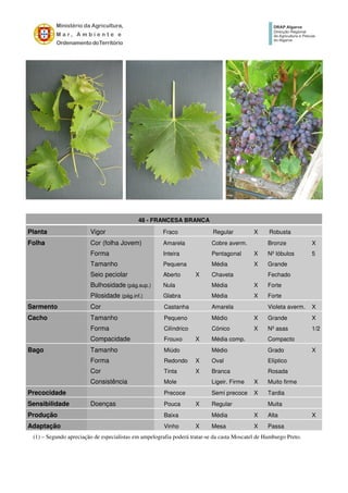 48 - FRANCESA BRANCA
Planta Vigor Fraco Regular X Robusta
Folha Cor (folha Jovem) Amarela Cobre averm. Bronze X
Forma Inteira Pentagonal X Nº lóbulos 5
Tamanho Pequena Média X Grande
Seio peciolar Aberto X Chaveta Fechado
Bulhosidade (pág.sup.) Nula Média X Forte
Pilosidade (pág.inf.) Glabra Média X Forte
Sarmento Cor Castanha Amarela Violeta averm. X
Cacho Tamanho Pequeno Médio X Grande X
Forma Cilíndrico Cónico X Nº asas 1/2
Compacidade Frouxo X Média comp. Compacto
Bago Tamanho Miúdo Médio Grado X
Forma Redondo X Oval Elíptico
Cor Tinta X Branca Rosada
Consistência Mole Ligeir. Firme X Muito firme
Precocidade Precoce Semi precoce X Tardia
Sensibilidade Doenças Pouca X Regular Muita
Produção Baixa Média X Alta X
Adaptação Vinho X Mesa X Passa
(1) – Segundo apreciação de especialistas em ampelografia poderá tratar-se da casta Moscatel de Hamburgo Preto.
 