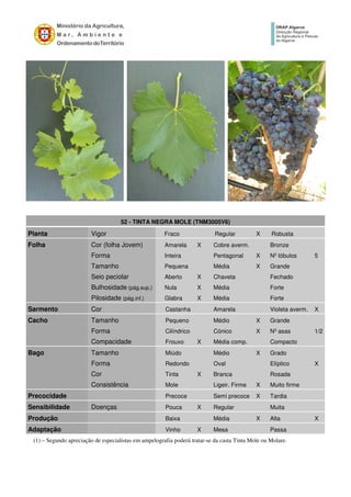 52 - TINTA NEGRA MOLE (TNM3005V6)
Planta Vigor Fraco Regular X Robusta
Folha Cor (folha Jovem) Amarela X Cobre averm. Bronze
Forma Inteira Pentagonal X Nº lóbulos 5
Tamanho Pequena Média X Grande
Seio peciolar Aberto X Chaveta Fechado
Bulhosidade (pág.sup.) Nula X Média Forte
Pilosidade (pág.inf.) Glabra X Média Forte
Sarmento Cor Castanha Amarela Violeta averm. X
Cacho Tamanho Pequeno Médio X Grande
Forma Cilíndrico Cónico X Nº asas 1/2
Compacidade Frouxo X Média comp. Compacto
Bago Tamanho Miúdo Médio X Grado
Forma Redondo Oval Elíptico X
Cor Tinta X Branca Rosada
Consistência Mole Ligeir. Firme X Muito firme
Precocidade Precoce Semi precoce X Tardia
Sensibilidade Doenças Pouca X Regular Muita
Produção Baixa Média X Alta X
Adaptação Vinho X Mesa Passa
(1) – Segundo apreciação de especialistas em ampelografia poderá tratar-se da casta Tinta Mole ou Molare.
 