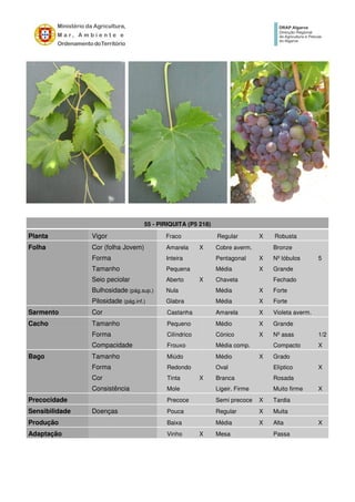 55 - PIRIQUITA (P5 218)
Planta Vigor Fraco Regular X Robusta
Folha Cor (folha Jovem) Amarela X Cobre averm. Bronze
Forma Inteira Pentagonal X Nº lóbulos 5
Tamanho Pequena Média X Grande
Seio peciolar Aberto X Chaveta Fechado
Bulhosidade (pág.sup.) Nula Média X Forte
Pilosidade (pág.inf.) Glabra Média X Forte
Sarmento Cor Castanha Amarela X Violeta averm.
Cacho Tamanho Pequeno Médio X Grande
Forma Cilíndrico Cónico X Nº asas 1/2
Compacidade Frouxo Média comp. Compacto X
Bago Tamanho Miúdo Médio X Grado
Forma Redondo Oval Elíptico X
Cor Tinta X Branca Rosada
Consistência Mole Ligeir. Firme Muito firme X
Precocidade Precoce Semi precoce X Tardia
Sensibilidade Doenças Pouca Regular X Muita
Produção Baixa Média X Alta X
Adaptação Vinho X Mesa Passa
 