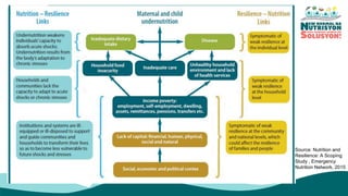 Improved nutrition
Improved resilience
Source: Nutrition and
Resilience: A Scoping
Study , Emergency
Nutrition Network, 2015
 