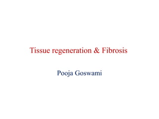 Tissue regeneration & Fibrosis 
Pooja Goswami 
 