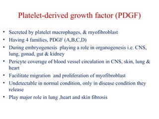 Platelet-derived growth factor (PDGF) 
• Secreted by platelet macrophages, & myofibroblast 
• Having 4 families, PDGF (A,B,C,D) 
• During embryogenesis playing a role in organogenesis i.e. CNS, 
lung, gonad, gut & kidney 
• Pericyte coverage of blood vessel circulation in CNS, skin, lung & 
heart 
• Facilitate migration and proliferation of myofibroblast 
• Undetectable in normal condition, only in disease condition they 
release 
• Play major role in lung ,heart and skin fibrosis 
 