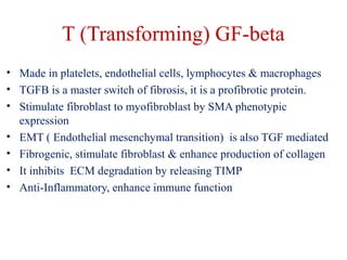 T (Transforming) GF-beta 
• Made in platelets, endothelial cells, lymphocytes & macrophages 
• TGFB is a master switch of fibrosis, it is a profibrotic protein. 
• Stimulate fibroblast to myofibroblast by SMA phenotypic 
expression 
• EMT ( Endothelial mesenchymal transition) is also TGF mediated 
• Fibrogenic, stimulate fibroblast & enhance production of collagen 
• It inhibits ECM degradation by releasing TIMP 
• Anti-Inflammatory, enhance immune function 
 