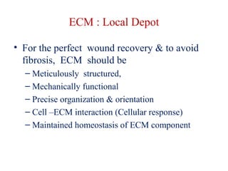ECM : Local Depot 
• For the perfect wound recovery & to avoid 
fibrosis, ECM should be 
– Meticulously structured, 
– Mechanically functional 
– Precise organization & orientation 
– Cell –ECM interaction (Cellular response) 
– Maintained homeostasis of ECM component 
 