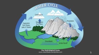 The Hydrological Cycle
www.class4beds.wordpress.com 5
 