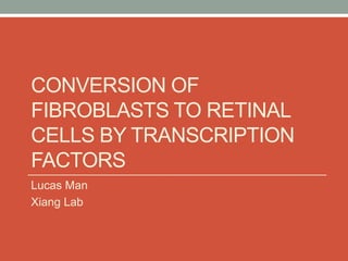 CONVERSION OF
FIBROBLASTS TO RETINAL
CELLS BY TRANSCRIPTION
FACTORS
Lucas Man
Xiang Lab
 