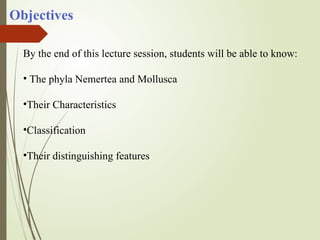 Objectives
By the end of this lecture session, students will be able to know:
• The phyla Nemertea and Mollusca
•Their Characteristics
•Classification
•Their distinguishing features
 