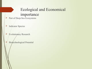 Ecological and Economical
importance
 Part of Deep-Sea Ecosystems
 Indicator Species
 Evolutionary Research
 Biotechnological Potential
 