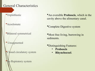 General Characteristics
Triploblastic
Acoelomate
Bilateral symmetrical
 Unsegmented
Closed circulatory system
No Repiratory system
An eversible Proboscis, which in the
cavity above the alimentary canal.
Complete Digestive system
Most free living, burrowing in
sediments.
Distinguishing Features:
• Proboscis
• Rhynchocoel.
 