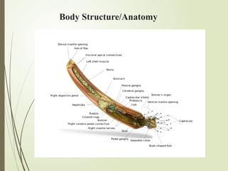 Body Structure/Anatomy
 