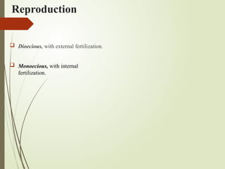 Reproduction
 Dioecious, with external fertilization.
 Monoecious, with internal
fertilization.
 