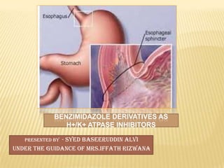 BENZIMIDAZOLE DERIVATIVES AS
                H+/K+ ATPASE INHIBITORS

              - Syed Baseeruddin Alvi
   Presented by
Under the guidance of mrs.iffath rizwana
 