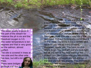 You’re getting tired, so you and Bubbles find a quiet place to close your eyes. In the morning, a loud boom and the ground beneath you gives way. It wakes you up. You and Bubbles are on a cave floor and Bubbles.  Four minuets later, wakes up and she’s as babbly as usual. You see a way out of the dark cave. Without thinking you come near it. At that point, you know it was a terrible idea, because you see so many streams, obstacles, rapids, etc. You have no clue where to go. You look left and you look right but all you see is the deep water of the stream. You don’t know how you will survive, but you know somehow you will and out of the blue you see two shapes. You don’t know what they are, so you swim a little closer to make out the shapes. The water quality is good in this part of the stream for instance the ph is six and the dissolved oxygen is 3.5. The water temperature is ten degrees and that is very good for the salmon, almost perfect. The site is covered in trees at one side and the other side has less, but still a lot of trees. There were bridges and garbage and one pipe. 