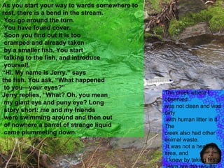 As you start your way to wards somewhere to rest, there is a bend in the stream. You go around the turn. You have found cover. Soon you find out it is too cramped and already taken by a smaller fish. You start talking to the fish, and introduce yourself. “ Hi. My name is Jerry.” says  the fish. You ask, “What happened to you—your eyes?” Jerry replies, “What? Oh, you mean my giant eye and puny eye? Long story short: me and my friends were swimming around and then out of nowhere a barrel of strange liquid came plummeting down.  The creek where I observed  was not clean and was dirty with human litter in it. The  creek also had other animal waste. It was not a healthy area, and I knew by taking tests. Here are the results: 