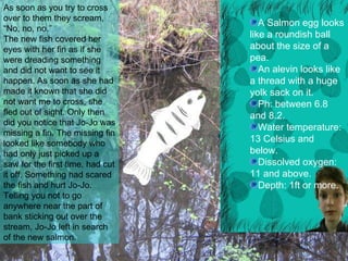 A Salmon egg looks like a roundish ball about the size of a pea. An alevin looks like a thread with a huge yolk sack on it. Ph: between 6.8 and 8.2. Water temperature: 13 Celsius and below. Dissolved oxygen: 11 and above. Depth: 1ft or more. As soon as you try to cross over to them they scream, “No, no, no.”  The new fish covered her eyes with her fin as if she were dreading something and did not want to see it happen. As soon as she had made it known that she did not want me to cross, she fled out of sight. Only then did you notice that Jo-Jo was missing a fin. The missing fin looked like somebody who had only just picked up a saw for the first time, had cut it off. Something had scared the fish and hurt Jo-Jo. Telling you not to go anywhere near the part of bank sticking out over the stream, Jo-Jo left in search of the new salmon. 