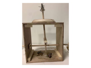Final3D_automata