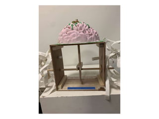 Final3D_automata