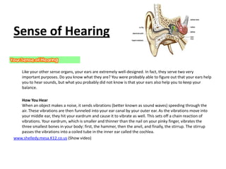 Sense of Hearing

    Like your other sense organs, your ears are extremely well-designed. In fact, they serve two very
    important purposes. Do you know what they are? You were probably able to figure out that your ears help
    you to hear sounds, but what you probably did not know is that your ears also help you to keep your
    balance.

   How You Hear
   When an object makes a noise, it sends vibrations (better known as sound waves) speeding through the
   air. These vibrations are then funneled into your ear canal by your outer ear. As the vibrations move into
   your middle ear, they hit your eardrum and cause it to vibrate as well. This sets off a chain reaction of
   vibrations. Your eardrum, which is smaller and thinner than the nail on your pinky finger, vibrates the
   three smallest bones in your body: first, the hammer, then the anvil, and finally, the stirrup. The stirrup
   passes the vibrations into a coiled tube in the inner ear called the cochlea.
www.shelledy.mesa.K12.co.us (Show video)
 