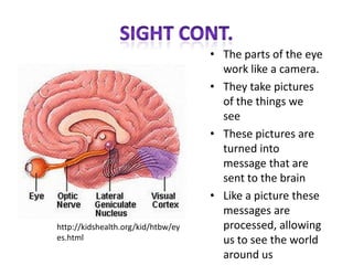 • The parts of the eye
                                      work like a camera.
                                    • They take pictures
                                      of the things we
                                      see
                                    • These pictures are
                                      turned into
                                      message that are
                                      sent to the brain
                                    • Like a picture these
                                      messages are
http://kidshealth.org/kid/htbw/ey     processed, allowing
es.html                               us to see the world
                                      around us
 