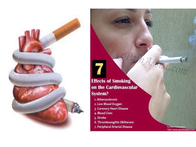 Behavior Modification for Cardiovascular risk factor reduction | PPT