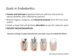 Restoring Rct Tooth Final 8 Resto of RCT Teeth helpful presentation | PPTX