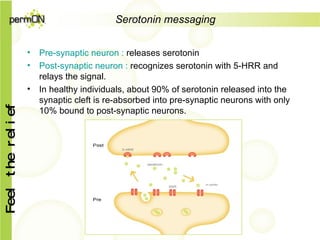 Serotonin messaging Pre-synaptic neuron :  releases  serotonin Post-synaptic neuron :  recognizes serotonin with 5-HRR and relays the signal. In healthy individuals, about 90% of serotonin released into the synaptic cleft is re-absorbed into pre-synaptic neurons with only 10% bound to post-synaptic neurons. 