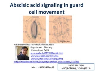 SATYA PRAKASH
MSC( BOTANY) , SEM IV(2013)
Abscisic acid signaling in guard
cell movement
Jung et al.,2002
Presentation by : Satya Prakash Chaurasia
Department of Botany,
University of Delhi,
satya.prakash101991@gmail.com
www.facebook.com/91satya
www.twitter.com/Satyapr101991
h ttp://www.linkedin.com/pub/satya-prakash chaurasia/65/a76/a25
Mob: +919654814497
 