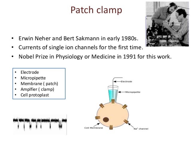 Patch clamp dissertation 08 picture
