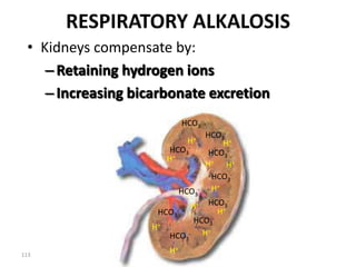 113
RESPIRATORY ALKALOSIS
• Kidneys compensate by:
–Retaining hydrogen ions
–Increasing bicarbonate excretion
H+
HCO3
-
HCO3
-
HCO3
-
HCO3
-
HCO3
-
HCO3
-
HCO3
-
HCO3
-
HCO3
-
HCO3
-
H+
H+
H+
H+
H+
H+
H+
H+
H+
H+
 