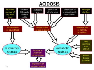 145
ACIDOSIS
decreased
removal of
CO2 from
lungs
failure of
kidneys to
excrete
acids
metabolic
acid
production
of keto acids
absorption of
metabolic acids
from GI tract
prolonged
diarrhea
accumulation
of CO2 in blood
accumulation
of acid in blood
excessive loss
of NaHCO3
from blood
metabolic
acidosis
deep
vomiting
from
GI tract
kidney
disease
(uremia)
increase in
plasma H+
concentration
depression of
nervous system
accumulation
of CO2 in blood
accumulation
of acid in blood
excessive loss
of NaHCO3
from blood
respiratory
acidosis
 