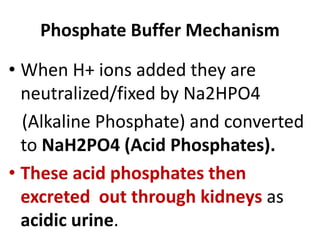 Phosphate Buffer Mechanism
• When H+ ions added they are
neutralized/fixed by Na2HPO4
(Alkaline Phosphate) and converted
to NaH2PO4 (Acid Phosphates).
• These acid phosphates then
excreted out through kidneys as
acidic urine.
 