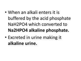 • When an alkali enters it is
buffered by the acid phosphate
NaH2PO4 which converted to
Na2HPO4 alkaline phosphate.
• Excreted in urine making it
alkaline urine.
 