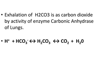 • Exhalation of H2CO3 is as carbon dioxide
by activity of enzyme Carbonic Anhydrase
of Lungs.
• H+ + HCO3
- ↔ H2CO3 ↔ CO2 + H20
 