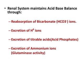 • Renal System maintains Acid Base Balance
through:
–Reabsorption of Bicarbonate (HCO3-) ions.
–Excretion of H ions
–Excretion of titrable acids(Acid Phosphates)
–Excretion of Ammonium ions
(Glutaminase activity)
 