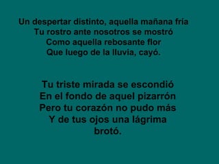 Tu triste mirada se escondió En el fondo de aquel pizarrón Pero tu corazón no pudo más Y de tus ojos una lágrima brotó. Un despertar distinto, aquella mañana fría Tu rostro ante nosotros se mostró Como aquella rebosante flor Que luego de la lluvia, cayó. 
