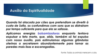 Auxílio da Espiritualidade
Quando foi atacada por cães que pretendiam se divertir à
custa de Sofia, os confundimos com sons que os distraíram
por tempo suficiente para que ela se safasse.
Aplicamos energias balsamizadoras enquanto tentava
expulsar o feto morto, que, aliás, também só foi expulso
com nosso auxílio, pois estimulamos algumas glândulas
uterinas a secretarem abundantemente para tornar as
paredes mais lisas e escorregadias.
Fonte: Todos os animais merecem o céu
 